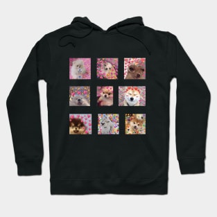 dog love memes Hoodie